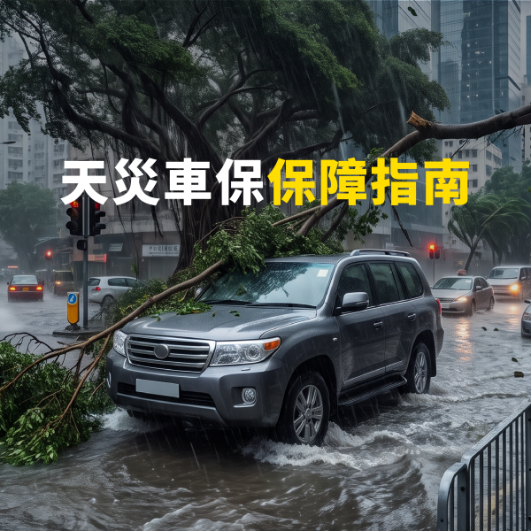 天災車保保障指南｜颱風、黑雨、塌樹及水浸車保險點樣賠