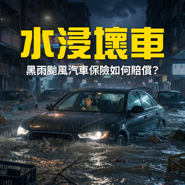GoGoX Insurance 2026 Blog post 6